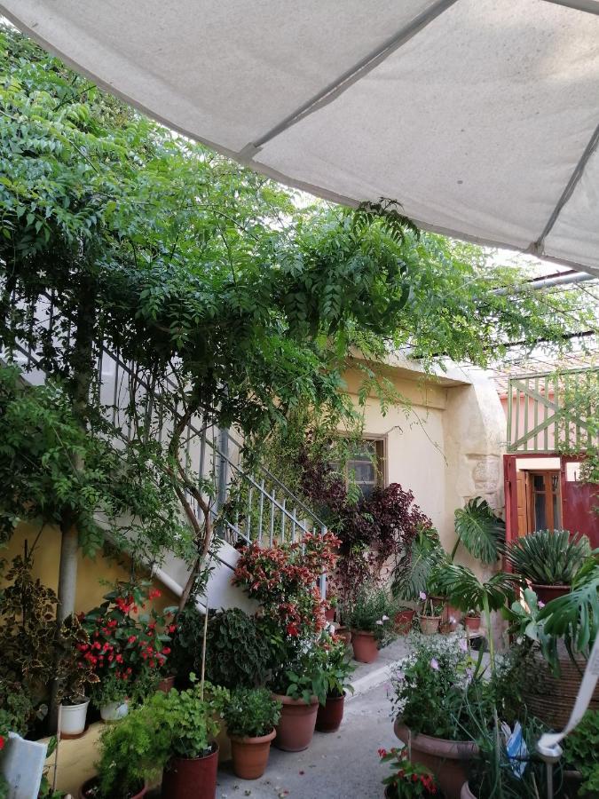 "Eirini" Traditional House Creta Archanes, Αρχάνες Σπίτι Exteriér fotografie